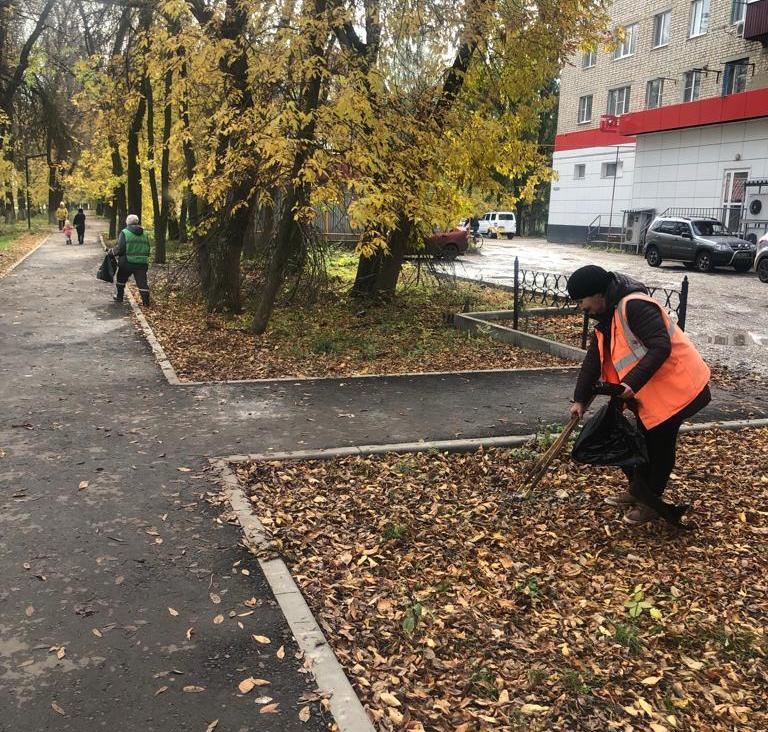 Осень - время наводить порядок