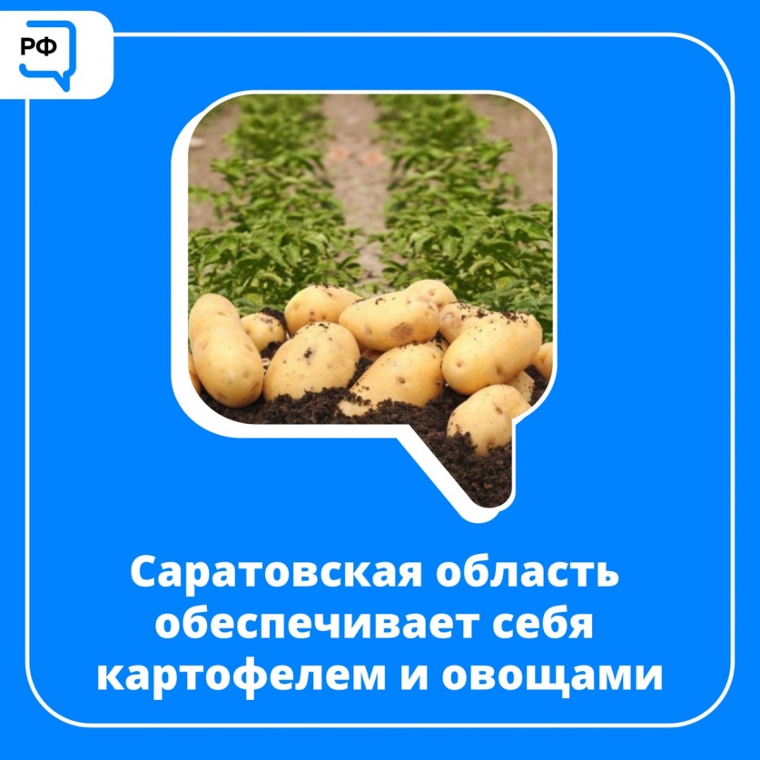 Саратовская область обеспечивает себя картофелем и овощами 