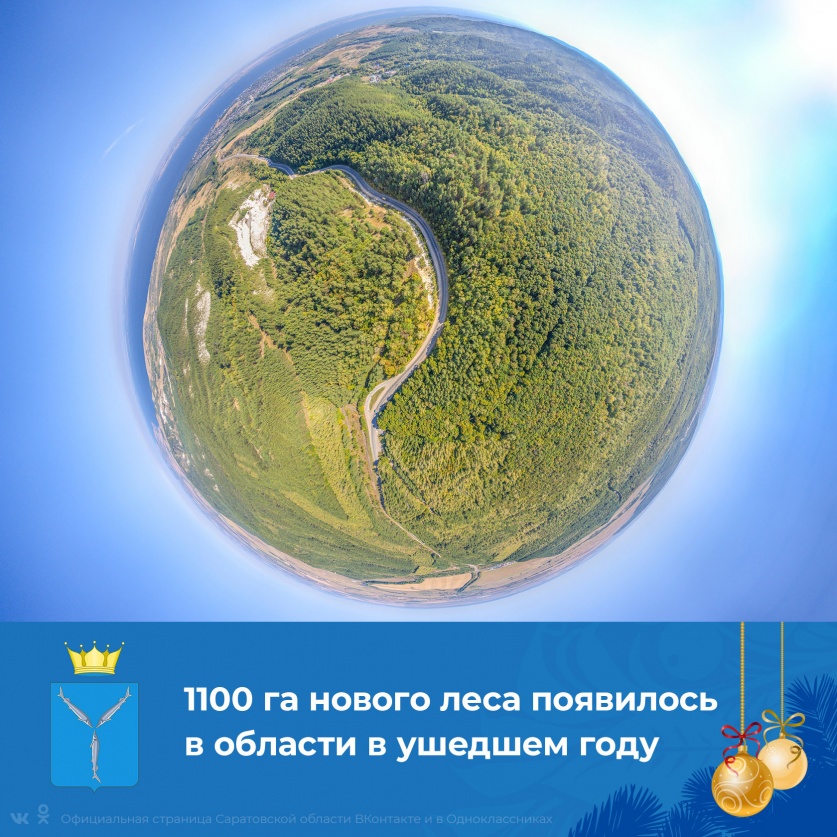  По национальному проекту Президента РФ «Экология» в 2020 году в Саратовской области лес восстановлен на площади 1100 га.