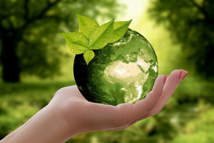 Дни экологического просвещения пройдут в прямом эфире «1ЭКОТВ.РФ»