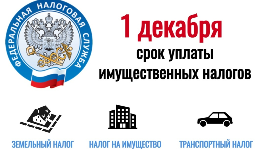 image-1.png