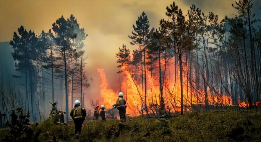 976da8d51832b10f7e9e917b2ce200f0.jpg