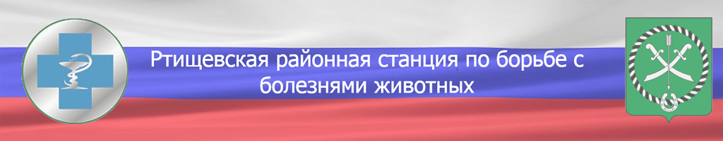 СББЖ.jpg