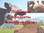 4edfad31565a96f07c9fe04c73742ca5.jpg