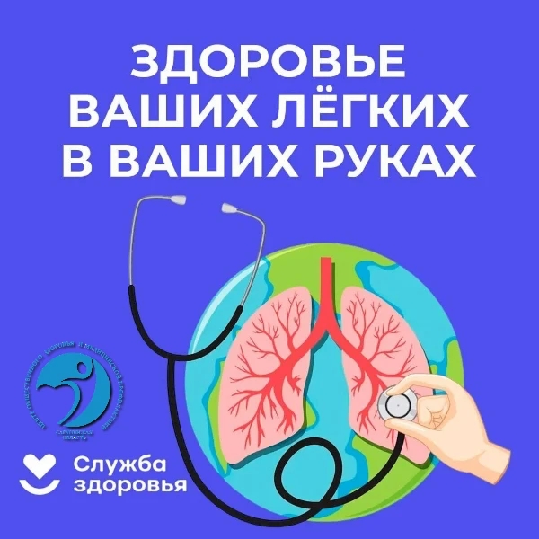 nHbk4iELhrtTorPfEDw0mCu1qTt1y-vR0oQ6WZJ6P3eaMji6FzH_yiflRRJdF7pzg5TeYKQfVisVwO4H3GoQJJLh.jpg