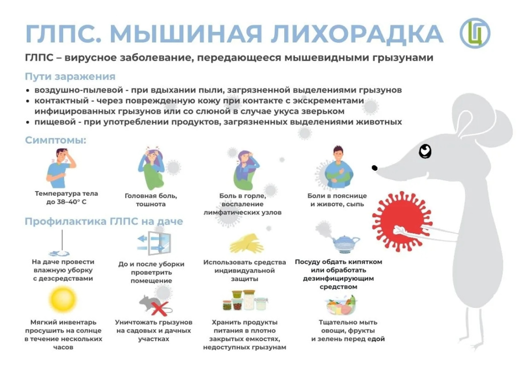 Мышиная лихорадка.jpg