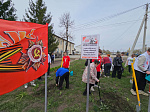 В КЦСОН Ртищевского рацона прошла акция "Аллея памяти"