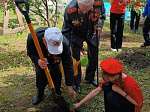 Ртищевцы приняли участие в международной акции «Сад памяти»
