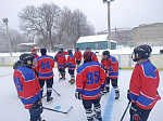 Товарищеский матч по хоккею 