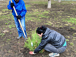  Городской парк культуры и отдыха активно готовится к новому летнему сезону. 