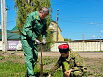 В городе моём