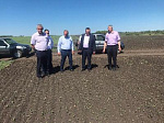 Глава РМР Александр Жуковский принял участие в кустовом совещании по оценке последствий майских заморозков, которое прошло в Аркадаке. ⬇️