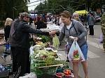 Сегодня в г.Ртищево прошла сельскохозяйственная ярмарка