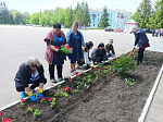 В сквере Центральный и на Площади памяти и славы высажены цветы
