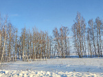 Зима в объективе