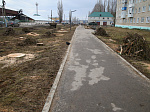 Сегодня в г. Ртищево прошел общеобластной субботник! 