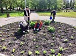 В сквере Центральный и на Площади памяти и славы высажены цветы