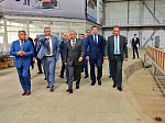 В Саратовской области на Волге появятся суда на подводных крыльях