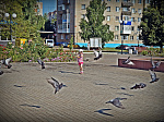 ЛЮБИМОМУ ГОРОДУ ПОСВЯЩАЕТСЯ