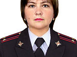 Под стук колес. Транспортный полицейский: честь, призвание
