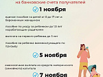 В связи с ноябрьскими праздниками Отделение СФР по Саратовской области досрочно выплатит пенсии и пособия