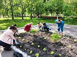 В сквере Центральный и на Площади памяти и славы высажены цветы