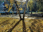 Любимому городу посвящается