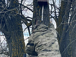 В заказнике «Центральный» разместили сделанные школьниками скворечники