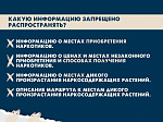 В рамках акции #СообщиГдеТоргуютСмертью рассказываем, что делать если увидели противоправный контент в сети Интернет
