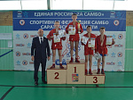 В р.п. Турки прошли областные соревнования по самбо "Турковая гора"