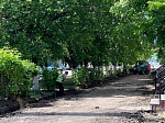 В городе продолжаются работы по ремонту тротуаров