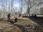 Работники сферы образования поддержали инициативу и присоединились к общегородскому субботнику!