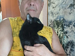 В ритме добра: как работники сервисного локомотивного депо Ртищево спасают жизни