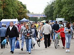 Сегодня в г.Ртищево прошла сельскохозяйственная ярмарка